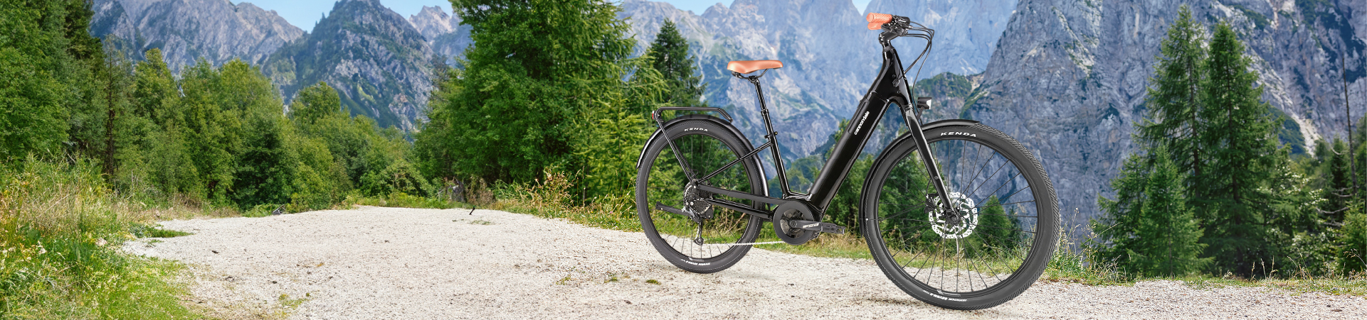 Win een elektrische fiets 